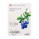 Watercolor paper in the A4 folder, Ladoga ZHK, 20 sheets, 200 g/m2, medium -grained, (252781933)