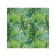 Organizer in a bath on suction cups “Tropical Leaves”, for storing toys and trifles, size 33x39 cm
