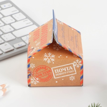 New Year. Block for recordings Case for Paper "New Year's Post"-3
