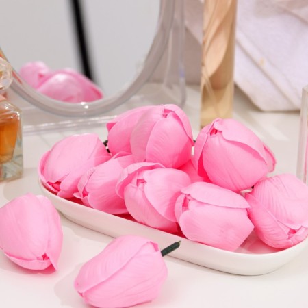 Soap tulip, pink-1