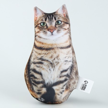 Antistress toy "Cat"-1