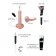 The phallimitator Strap-on-ume Dildo Semi-Realistic with ejaculation function, vanilla l, 18.2 cm