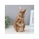 Figure "Bunny with a hare" 15x12x25cm