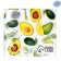 Paper Napkins "Juicy Avocado", 24x24 cm, 20 pcs