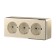 The w5073110 socket is triple with grounding and curtains, shampan