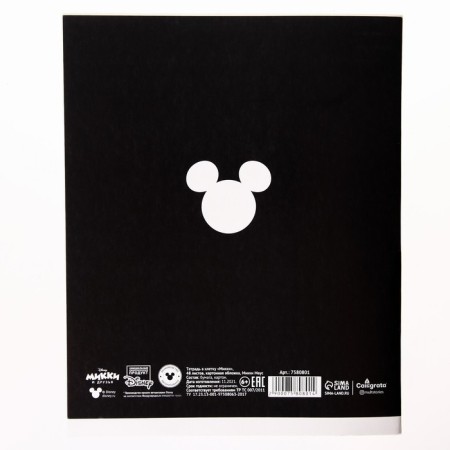Notebook 48 sheets in a cage, cardboard cover "Mickey", Mickey Mouse-3