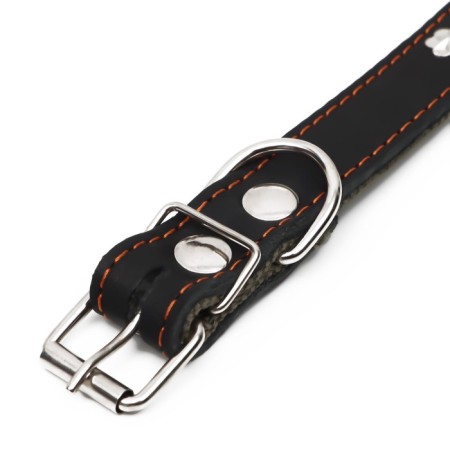 Collar combined leather/tarpaulin, 54 x 2.5 cm, decorated, Osh 35-45 cm, black-4