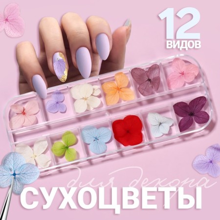 Sudden for decor "Tenderness", voluminous, 12 species, in a case, multi -colored