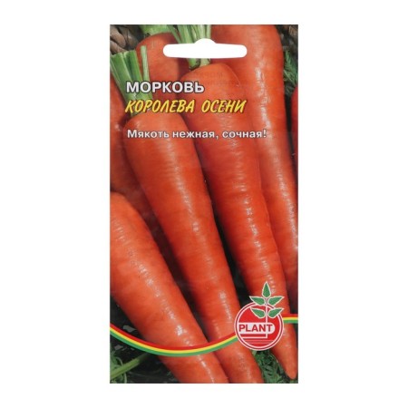 Carrots "Queen of Autumn", 800 pcs.
