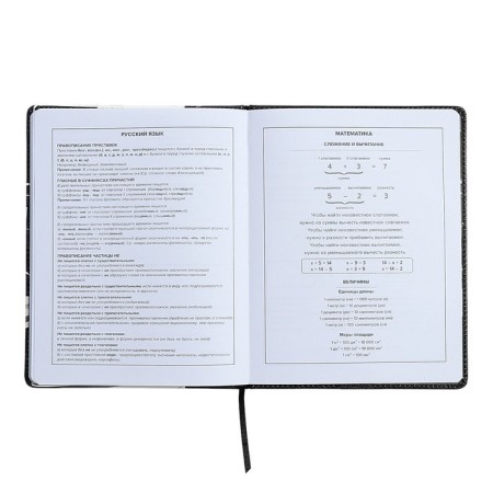 Universal Diary Grade 1-11, 48 sheets "Racing", solid cover of artificial leather, lies, universal cheat sheet, block 80 g/m2-9