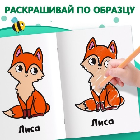 Coloring "Forest animals", 16 p.-3