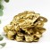 NECSK Polystone Bronze "Cash toad Yin-Yang with gold ingots" 4.8x6.5x8.5 cm