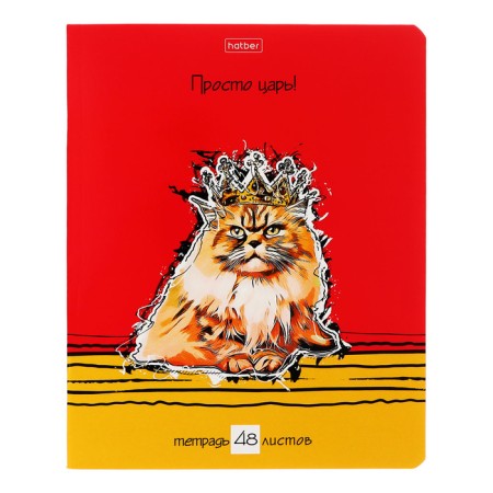 Notebook of 48 sheets in the "Zoostatus" line, cover coated cardboard, block 65 g/m2, mix-6