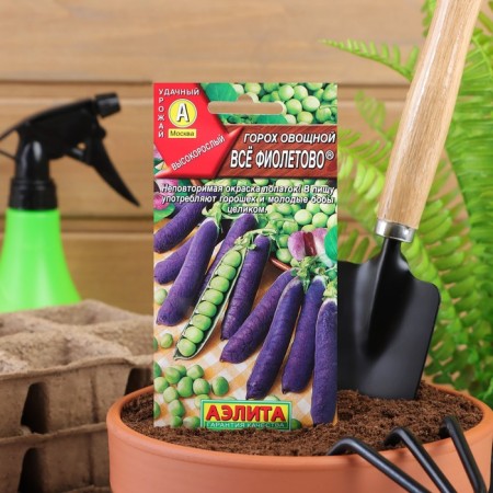 Seed peas "All purple", 7 g-2