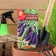 Seed peas "All purple", 7 g