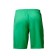 Gaming shorts ATEMI, green color, ASHO-002SS23-GRN, 2XL size
