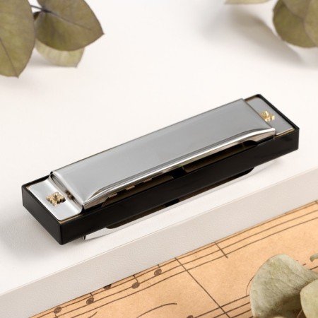 Music Life T10-4 Harly Diatonic, 10 holes, with a case-2