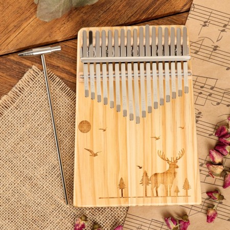 Kalim Music Life 17 notes, wild world-1