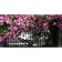 Photo Banner, 300 × 160 cm, with photo printing, eyelets step 1 m, “terrace”, Greengo