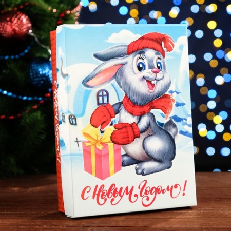 Box the team cover is, with the window, "New Year's hare", 21 x 15 x 5.7 cm