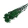 Sukhotzet "Ozotamnus" 60 g, the color is dark green