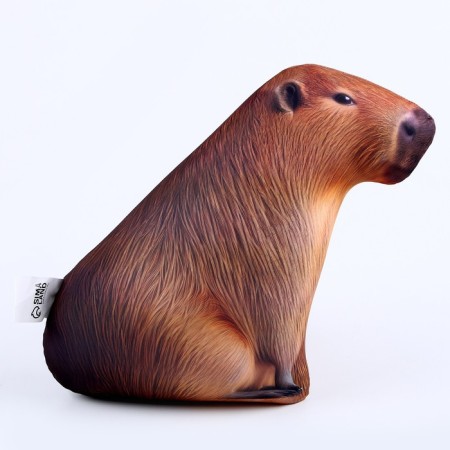 Antistress toy "Capybara"-4