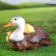 Garden figure "Duck with ducklings under the wing" 22.5x37.5cm