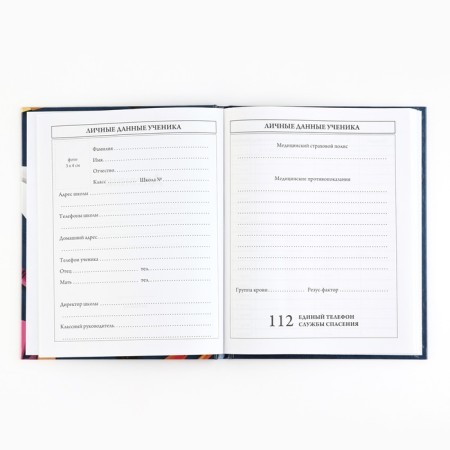 School diary 5-11 grade, in a solid cover, 48 liters. "Blue marble"-2
