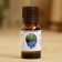 Essential oil "Citronella", a bottle-boiler, annotation, repellent 10 ml