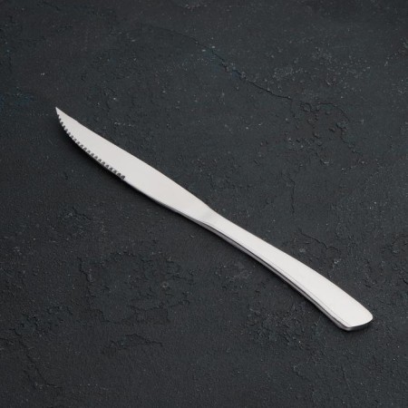 A stainless steel steak knife Magistro “Amy”, length 23 cm, silver color