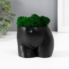 Kashpo concrete 