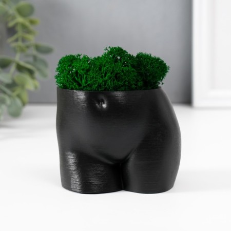Kashpo concrete "innocent species" height 6.5cm, width 8.5 cm black with moss