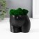Kashpo concrete "innocent species" height 6.5cm, width 8.5 cm black with moss