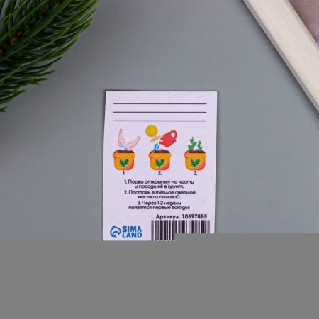 A postcard with the seeds "grow itself" "magic New Year" 5*7cm-2