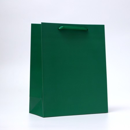 Laminated Green Packet, 26 x 32 x 12 cm-2