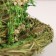 Kashpo, 23 x 20 x 13 cm, grass