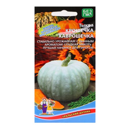 Seeds of pumpkin "Tiny Havroshechka", 6 pcs