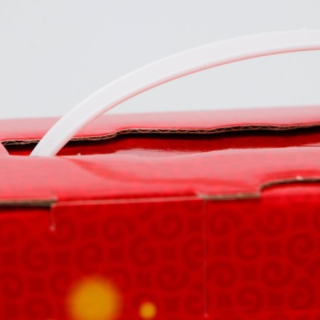 New Year. Gift box, New Year's "Eastern Snake" with a plastic pen 23.5*9.5*30 cm.-3