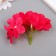 Flowers for decorating "hydrangea" bright pink 10x10 cm