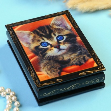 Blue -eyed kitten box 10 × 14 cm, black