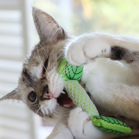 Petstage toy "Mint Leaf" for cats-2