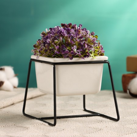 Pot "Cube" on the stand, black, 12x9x9cm