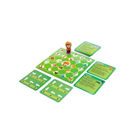 Developing game “Go through the shooters. We study animals ", 24 cards, 3+-1