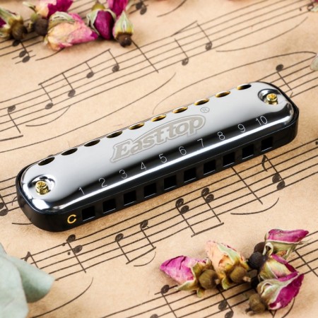 Music Life T10-1 C BLACK DIATONICAL HALLLY, 10 holes, with case-1