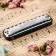 Music Life T10-1 C BLACK DIATONICAL HALLLY, 10 holes, with case
