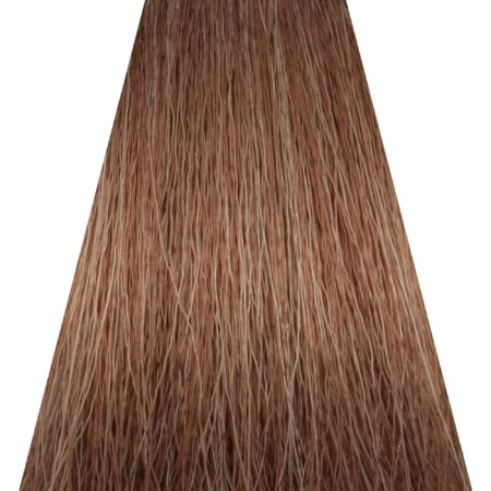 Cream-hair color Concept Soft Touch, without ammonia, tone 6.1, 100 ml