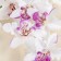 Artificial flowers "Orchid Falenopsis multiflora" 6x37 cm, white-lilac