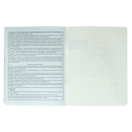 A notebook “Bright details”, 48 sheets in a cage “for essays”, cover coated cardboard, selective twin-lak, UV-lak, block offset-5