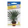 Pahipodium flowers "Lamer", 3pcs