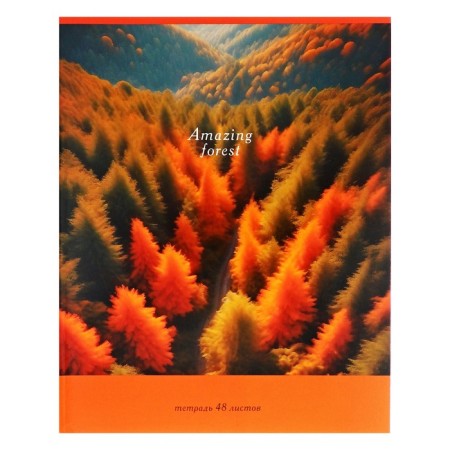 Notebook of 48 sheets in the cage "Nature", cover coated cardboard, block No. 2 (gray sheets), mix-5